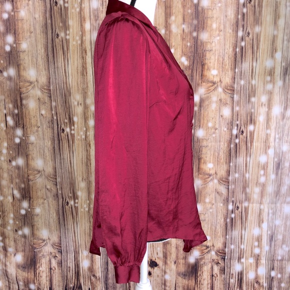 ALL IN FAVOR MAROON BUTTON DOWN - Picture 5 of 7